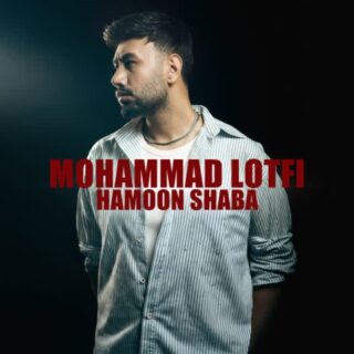 همون شبا