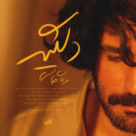 دانلود آهنگ عرفان طهماسبی دلگیر دانلود آهنگ عرفان طهماسبی دلگیر